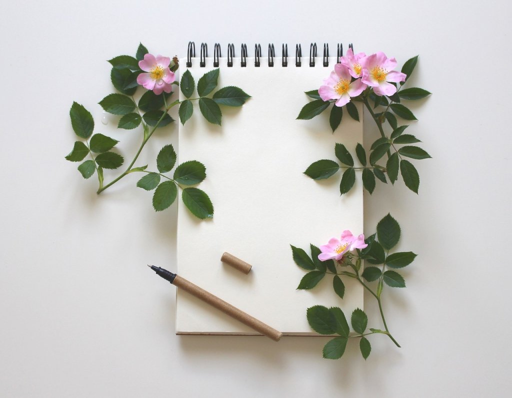 uma caderneta de papel, um lápis e alguns ramos de flores como detalhe.